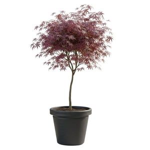 Plastový květináč Riflo 47, 9x55 cm antracitový vyobraziť