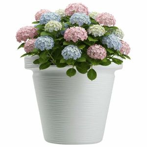 Plastový květináč Riflo 47, 9x55 cm bílý vyobraziť