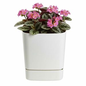 Plastový květináč s podmiskou Cubi 16x16 cm krémový vyobraziť