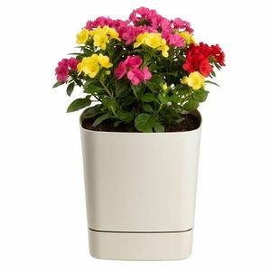 Plastový květináč s podmiskou Cubi 19x19 cm - výber z 6 prevedení vyobraziť