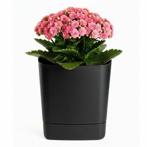 Plastový květináč s podmiskou Cubi 19x19 cm - výber z 6 prevedení vyobraziť