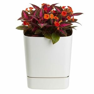 Plastový květináč s podmiskou Cubi 19x19 cm - výber z 6 prevedení vyobraziť