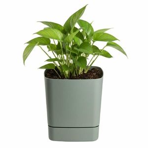 Plastový květináč s podmiskou Cubi 19x19 cm - výber z 6 prevedení vyobraziť