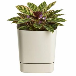 Plastový květináč s podmiskou Cubi 25x25 cm - výber z 5 prevedení vyobraziť