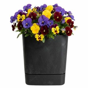 Plastový květináč s podmiskou Cubi 25x25 cm - výber z 5 prevedení vyobraziť