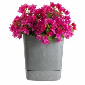 Plastový květináč s podmiskou Cubi 25x25 cm - výber z 5 prevedení vyobraziť