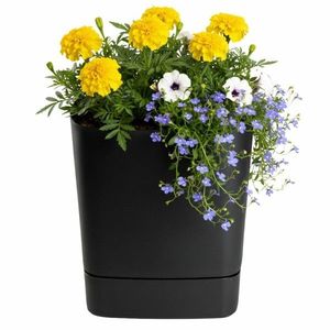 Plastový květináč s podmiskou Cubi 30x30 cm černý vyobraziť