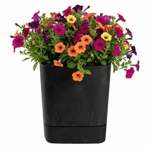 Plastový květináč s podmiskou Cubi 30x30 cm černý beton vyobraziť