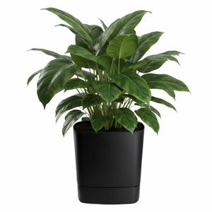 Plastový květináč s podmiskou Cubi 34x34 cm černý vyobraziť