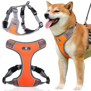 Postroj pre psov Astro L oranžový vyobraziť