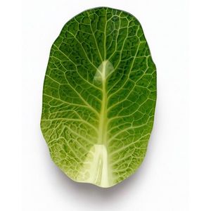 Sklenená miska Aria Fresh Šalát 25 cm zelená vyobraziť