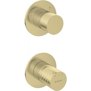 DEANTE - Silia Hexa kartáčované zlato Sprchová batéria, podomietková, s prepínačom sprchy BHS_R44P vyobraziť