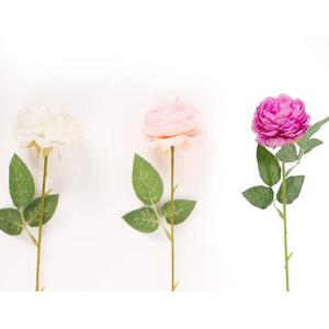 Ruža priemer 7 cm 50 cm mix 442652 vyobraziť