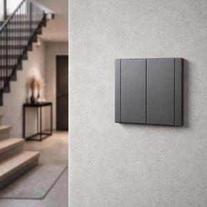 Vypínač dvojitý WESA sivá vyobraziť