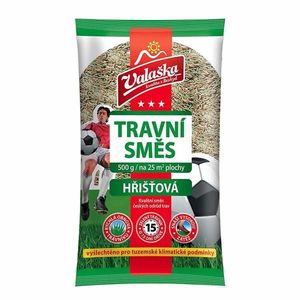 VALAŠKA - Trávna zmes ihrisko 0, 5 kg vyobraziť