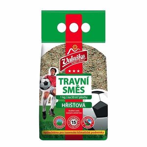 VALAŠKA - Trávna zmes ihrisko 1 kg vyobraziť