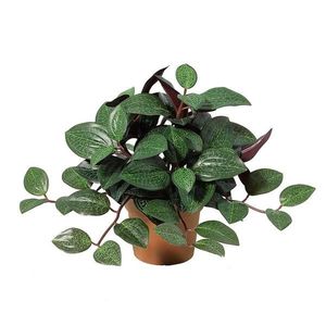 Umelý kvet v kvetináči – listy 91225 vyobraziť