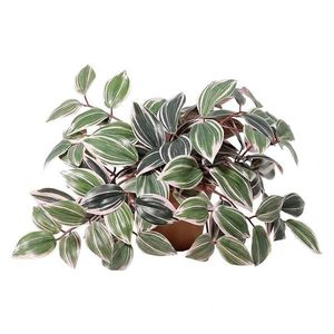 Umelý kvet v kvetináči – listy 91342 vyobraziť