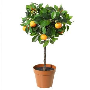 Umelý kvet v kvetináči – oranžový 91121 vyobraziť