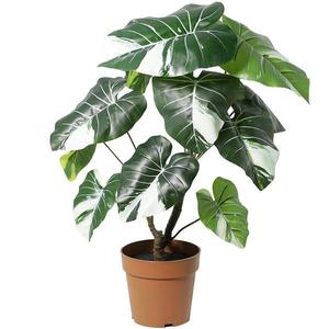 Umelý kvet v kvetináči – Alocazia 91255 vyobraziť