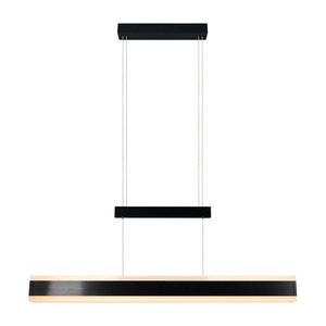 Matne čierne LED závesné svietidlo s kovovým tienidlom Arcola – Trio vyobraziť