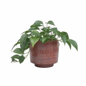 Keramický ručne vyrobený obal na kvetináč ø 21 cm Minerva – Artevasi vyobraziť