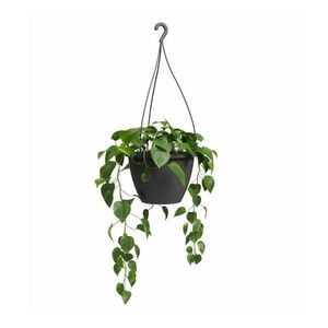 Plastový kvetináč ø 31 cm Algarve – Artevasi vyobraziť