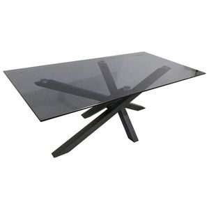 Xora KONFERENČNÝ STOLÍK, sivá, čierna, kov, sklo, 120/60/45 cm vyobraziť