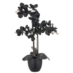 UMELÁ RASTLINA 70 cm vyobraziť