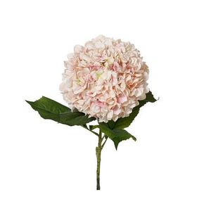 HORTENZIA 106 cm vyobraziť