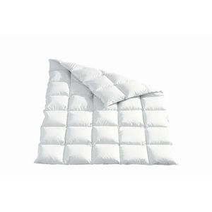 Sleeptex CELOROČNÁ PRIKRÝVKA, 220/240 cm, perie, páperie vyobraziť