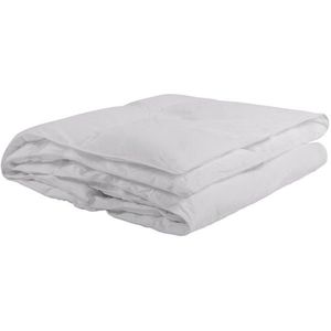 Sleeptex CELOROČNÁ PRIKRÝVKA, 220/140 cm, vyobraziť