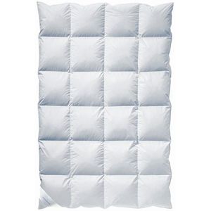 Billerbeck PÁPEROVÁ PRIKRÝVKA, 135/200 cm, perie, páperie vyobraziť