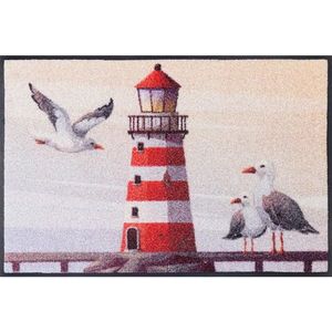 wash+dry ROHOŽKA, 50/75 cm béžová vyobraziť