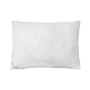 Sleeptex VANKÚŠ POD HLAVU, vyobraziť