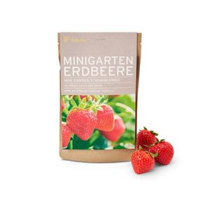 Minizáhrada v papierovom vrecku, jahody vyobraziť