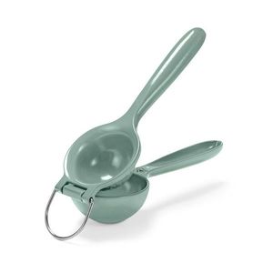 Lis na citrusy vyobraziť