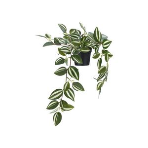 LIVARNO® Umelá rastlina (zebrina) vyobraziť