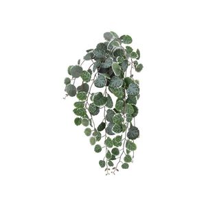 LIVARNO® Umelá rastlina (lampášik) vyobraziť