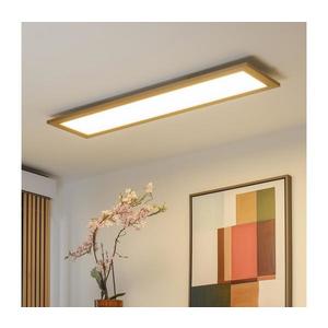 Brilagi - LED stmievateľné svietidlo SLIMFRAME WOOD LED/58W/230V 124x34 cm + diaľkové ovládanie BG1548+EG99424 vyobraziť