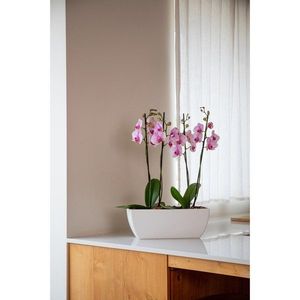 Kvetináč z recyklovaného plastu 30 cm Siena – Artevasi vyobraziť