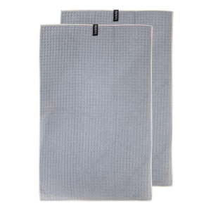 Utierky z mikrovlákna v súprave 2 ks 45x70 cm – Ladelle vyobraziť