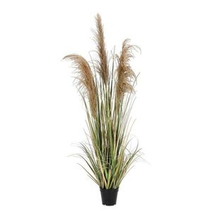 Umelá rastlina (výška 145 cm) Austorderia – Bizzotto vyobraziť