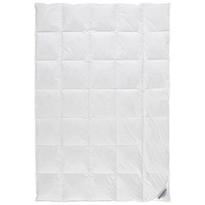 Sleeptex CELOROČNÁ PRIKRÝVKA, 135/200 cm, kačacie páperie, kačacie perie vyobraziť